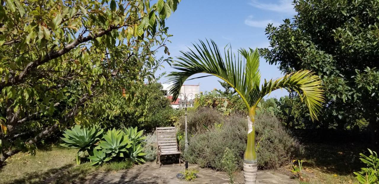 Appartamento La Casita De La Vega Icod De Los Vinos Esterno foto