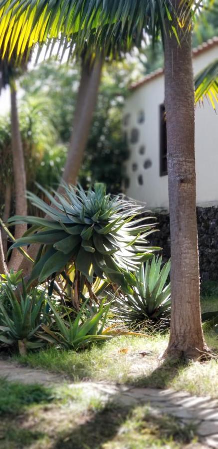 Appartamento La Casita De La Vega Icod De Los Vinos Esterno foto