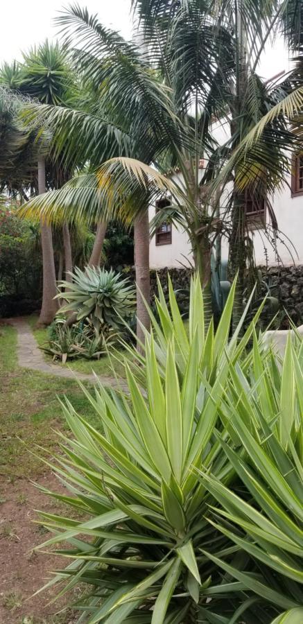 Appartamento La Casita De La Vega Icod De Los Vinos Esterno foto