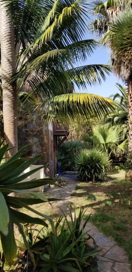 Appartamento La Casita De La Vega Icod De Los Vinos Esterno foto