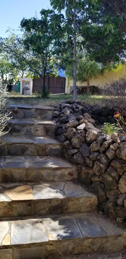 Appartamento La Casita De La Vega Icod De Los Vinos Esterno foto