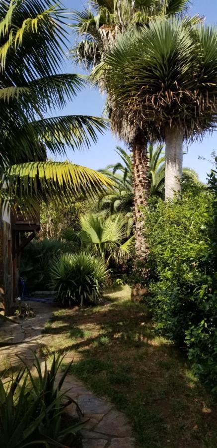 Appartamento La Casita De La Vega Icod De Los Vinos Esterno foto
