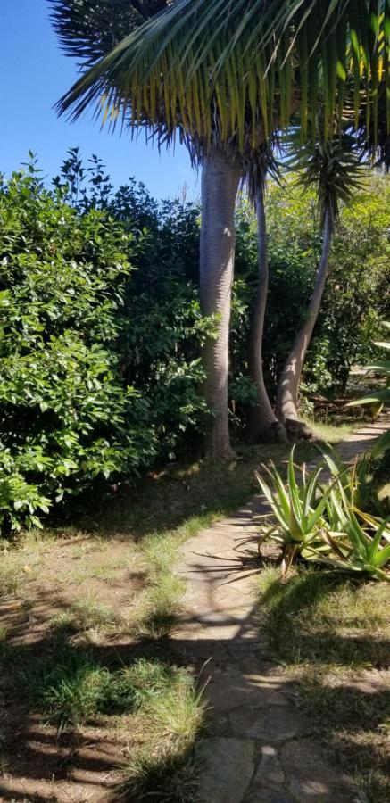 Appartamento La Casita De La Vega Icod De Los Vinos Esterno foto