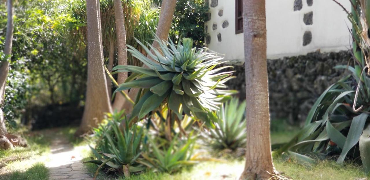 Appartamento La Casita De La Vega Icod De Los Vinos Esterno foto