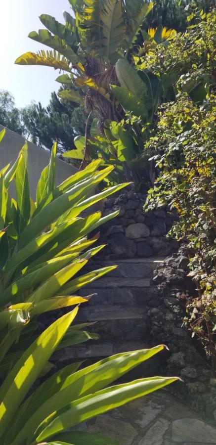 Appartamento La Casita De La Vega Icod De Los Vinos Esterno foto